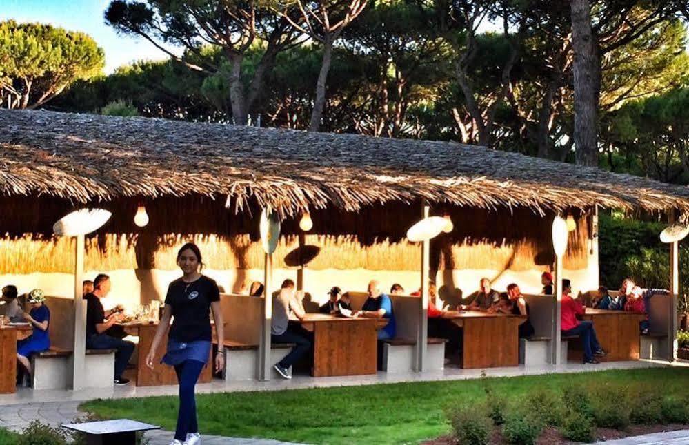 Camping Waikiki كورتيلازو المظهر الخارجي الصورة